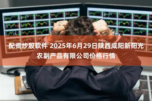 配资炒股软件 2025年6月29日陕西咸阳新阳光农副产品有限公司价格行情