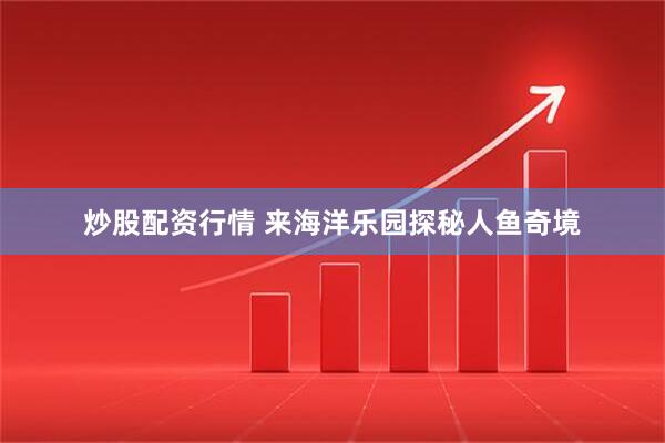 炒股配资行情 来海洋乐园探秘人鱼奇境